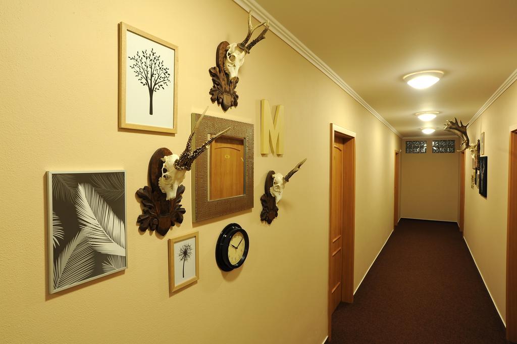 Wellness Penzion Jarmilka S Privatnim Wellness Bedřichov Exterior foto